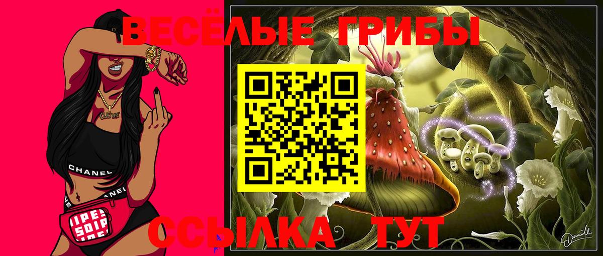 Псилоцибиновые грибы Psilocybine cubensis  Вход с VPN  купить закладку  Строитель 
